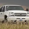 Charlie 🤠🦆 - @charlieconner4 - TikTok