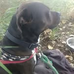 Charlie Conner - @charlie.conner.7777 - Instagram