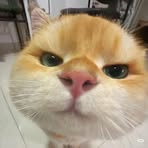 Charlie Connor - Facebook
