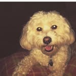 Charlie Egan - @charlesegann - Instagram