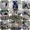 Charlie Goff - @charliegoff12 - TikTok