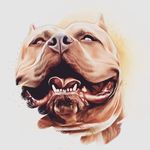 Charlie Guy - @cguy0071 - Instagram