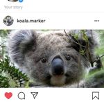 Charlie Lay - @charlie__lay - Instagram