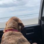 Charlie Malone - @charlieangelmalone - Instagram