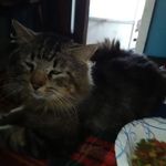 Charlie Mcdaniel - @charlie.mcdaniel.902 - Instagram