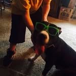 Charles Steigerwald - @steigerwaldcharles - Instagram