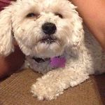 charlie sutter - @charlieisop - Instagram