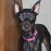 Charlie Sutter - Facebook