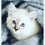 Charline Bernard - @_.chacha._2005 - Instagram