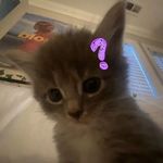asher♡ - @charlotte_asher_zander - Instagram