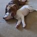 Charlotte Asher - Facebook