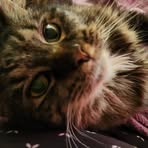Charlotte Benedict - Facebook