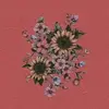 Charlotte Carson - @blohsh2 - TikTok