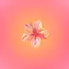 charlotte - @charlotte_conner00 - TikTok
