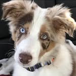 Charlotte Dodson - @charlotteg1966 - Instagram