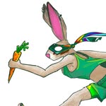 Charlotte Hare Bandits Run Team - @harebandits - Instagram