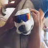 hoffmancharlottee - @hoffmancharlottee - TikTok
