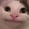 Charlotte Kiley - @charlottekiley444 - TikTok