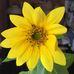 Charlotte LaBelle - Facebook