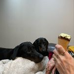 Charlotte Parent - @ca2yparent - Instagram
