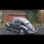 Charlotte Rasch - @charlotterecords - Instagram