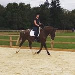 Charlotte Stapleton - @charl_stapleton - Instagram
