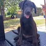 Charlotte Vickers - Facebook