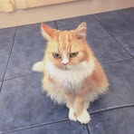 Charlotte Yates - Facebook