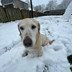 Charlie Adams - Facebook
