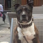 Charly Pierre - @charly.pierre.376 - Instagram
