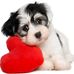 Charmaine Lawson - Facebook