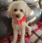 Charmaine Dillon - Facebook