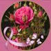 Charmaine Egan - Facebook