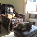 Charmaine Macklin - @charmainemacklin - Instagram