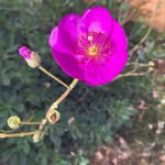 Charmaine Meyer - @meyer.charm - Instagram