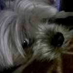 Charo - @charonarvaezglonzalez - Instagram