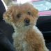 Chas Brown - Facebook