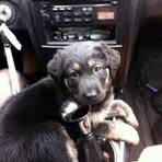 Chase Doty - Facebook