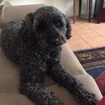 Chas Moore - @chasmoore52 - Instagram