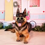 Chase Anthony - Facebook