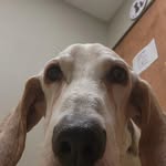 Chase Anthony Sordahl - @_sordahl - Instagram