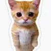 Chase Arnold - @chase.arnold2 - TikTok