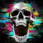 Chase Baird - @chase.baird.376 - Instagram
