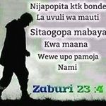sebastiani chzz - @chasebastiani - Instagram