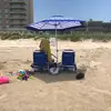 Michelle - @beachchaser - TikTok