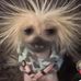 Chase Bearden - Facebook