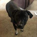 Chase Becker - @mr.becker_31 - Instagram