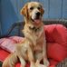 Chase Benjamin - Facebook