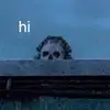 Chase Best - @chase.best0 - TikTok