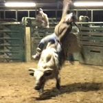 Chase Bishop - @bullspurin - Instagram